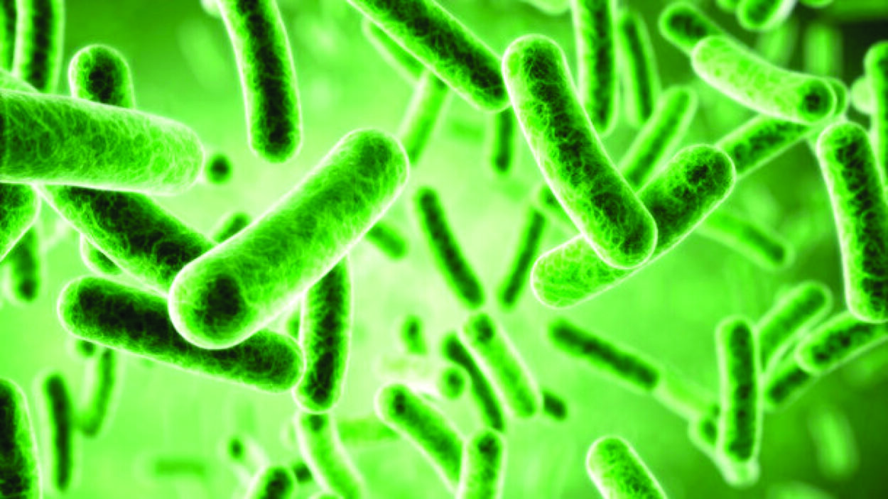 Teagasc Food Research