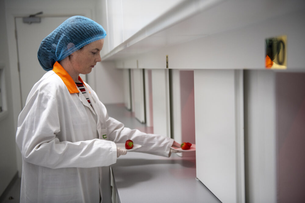 An image of cooked steak