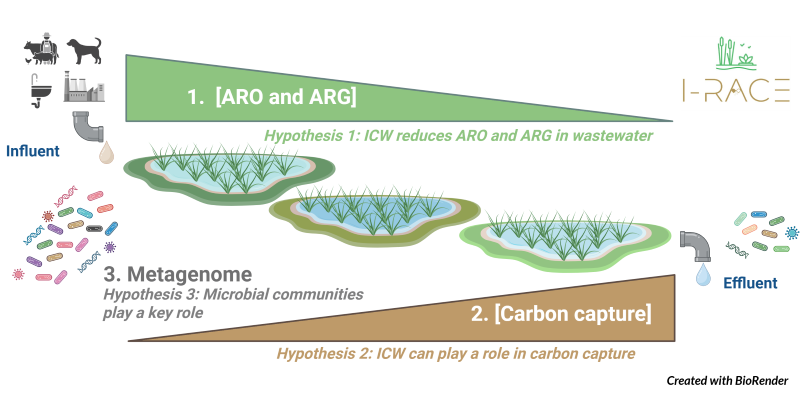 Diagramatic representation of the I-RACE project 