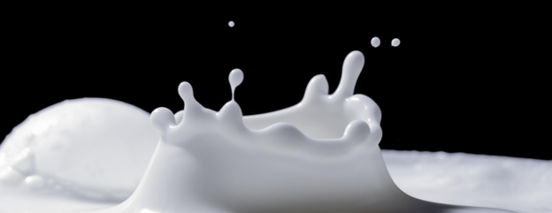 Cover image representing 