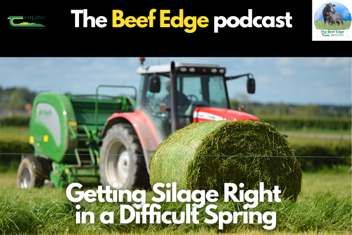 Getting Silage Right in a Difficult Spring