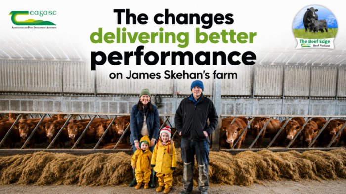 The changes delivering better performance on James Skehan’s farm