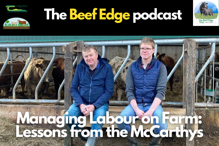 Managing Labour on Farm: Lessons from the McCarthys