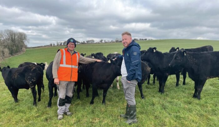 Continuous progress is building this Cork business