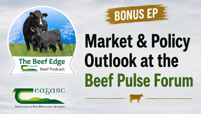 Market and Policy Outlook at the Beef Pulse Forum