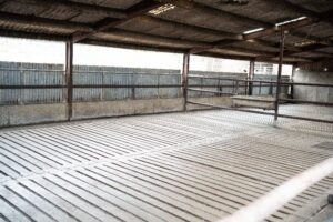 cattle housing