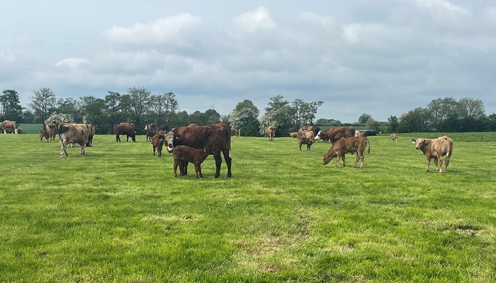 Livestock phenomics survey – share your views