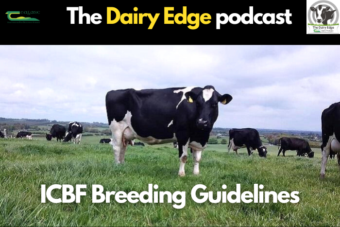 Dairy Edge Podcast – ICBF Breeding Guidelines