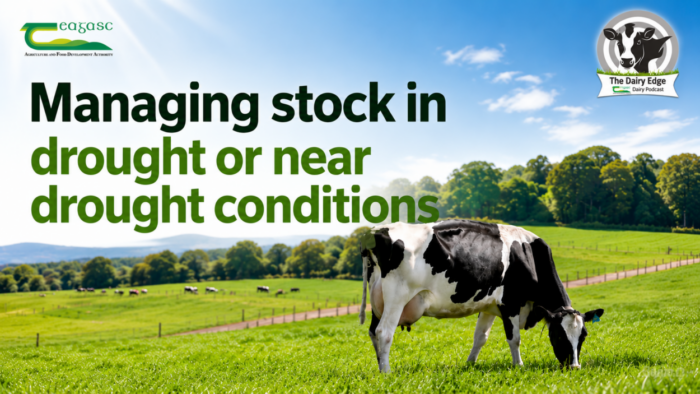 Cover image for Managing stock in drought or near drought conditions article