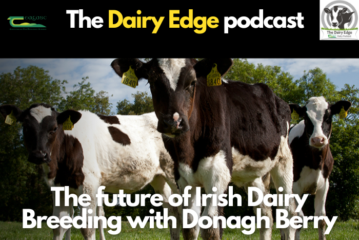 The Future of Irish Dairy Breeding with Donagh Berry
