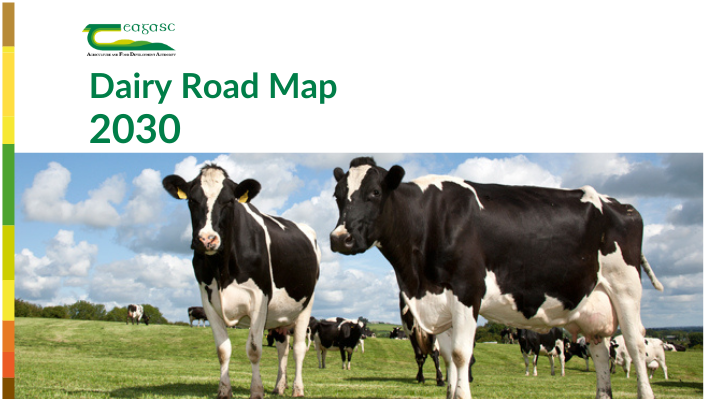 Cover image for Dairy Road Map 2030 article
