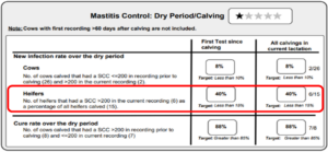 Table on mastitis control during dry period/calving. Heifers with SCC >200 show a 40% infection rate, exceeding target of <15%.