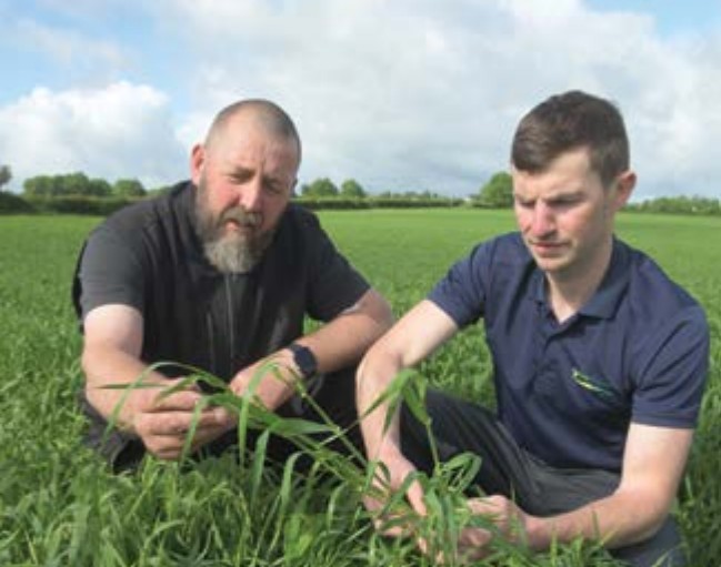 Straw chopping and incorporation: the basics and the benefits