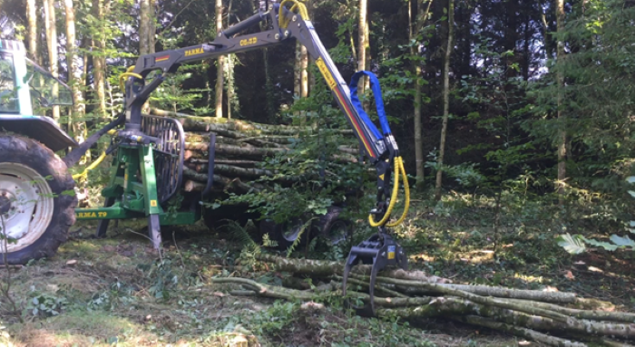 Supports for owners of ash forests impacted by ash dieback