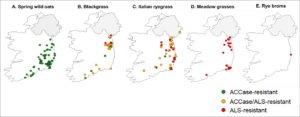 Maps of Ireland showing the prevalence of herbicide-resistant grass weeds