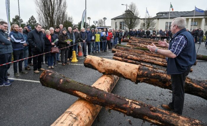 Cover image for Talking Timber is coming to Co. Cork article