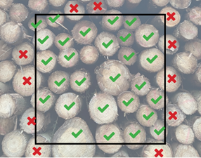 Timber Stack Measurement using an area grid - details in text