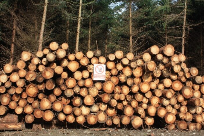 Timber Stack Measurement