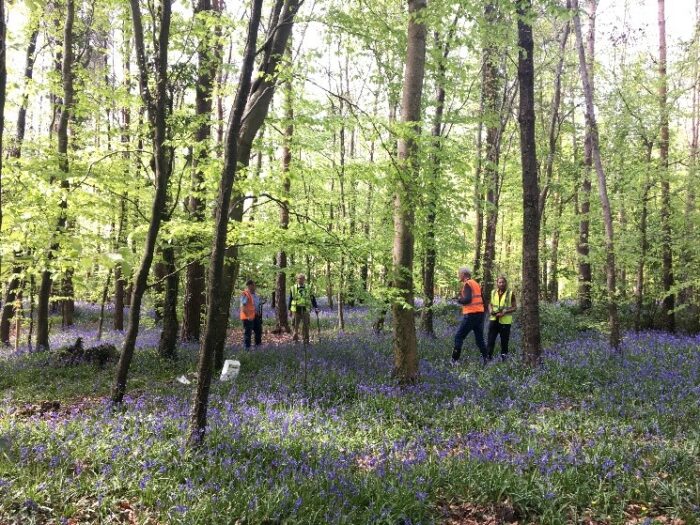 Join our upcoming close-to-nature forest management workshops