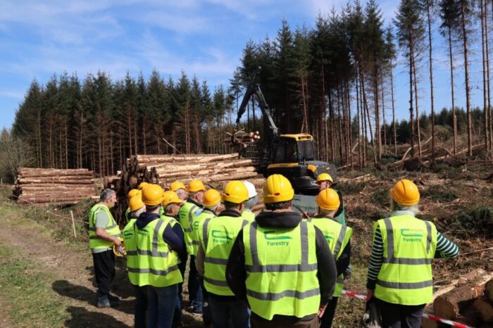 Cover image for New Reconstitution Scheme to Assist  Forest Owners Impacted by Storms article