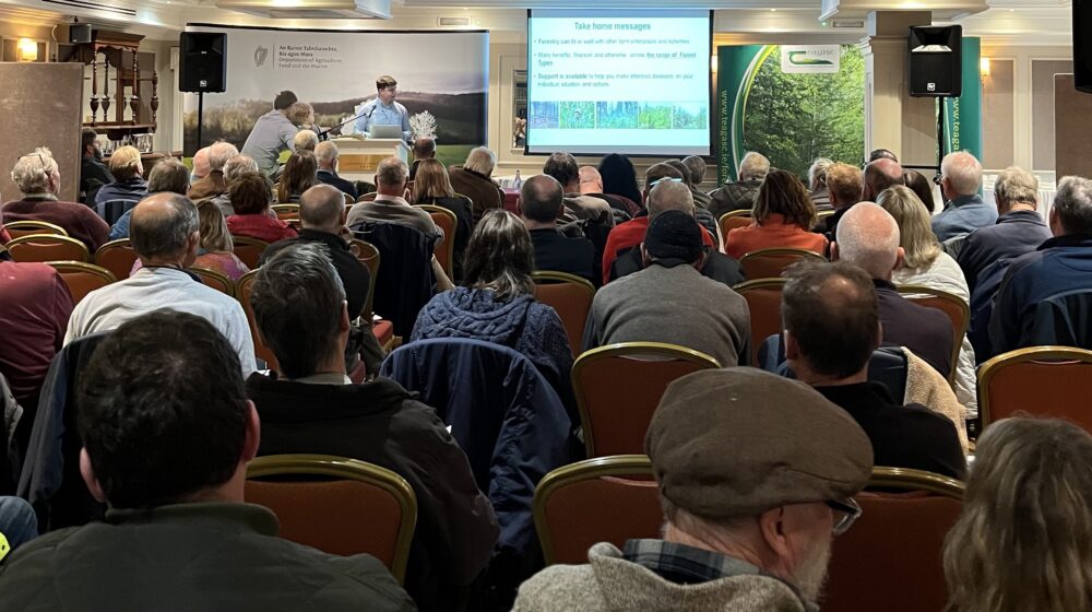 Cover image for Plant Trees, Grow Your Future article