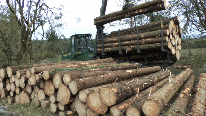 The importance of payment schedules for timber sales
