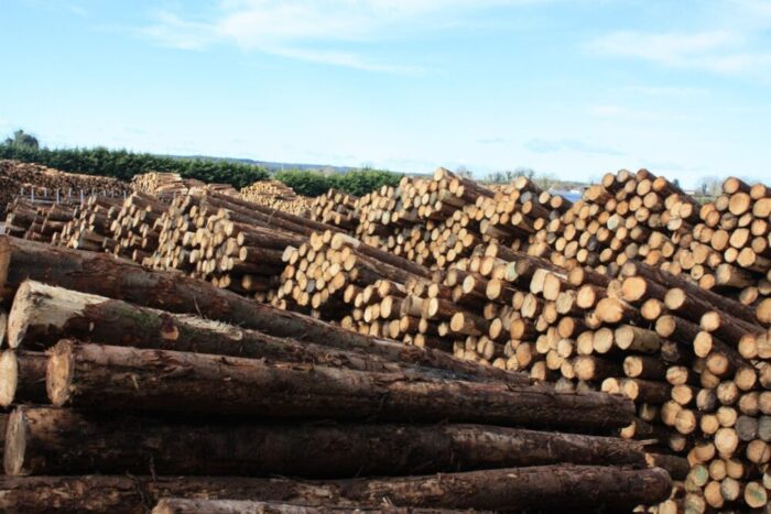 Selling Timber: Weight versus volume