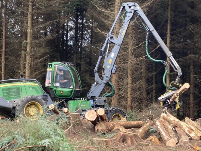 Felling Trees – Do you need a license?