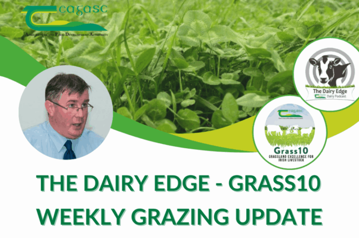 Cover image for Listen: Weekly tips from Grass10 article