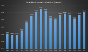 total mushroom production from 2008 to 2024, with peak production in 2015 at 72,345 tonnes and the lowest in 2009 at 54,494 tonnes.