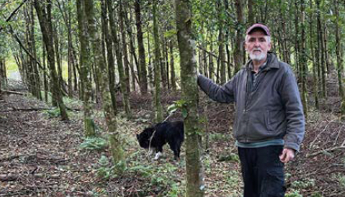 Rooted in the land: Hawthorn Farm’s forestry