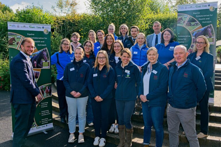 Foundations of Equine Health in the Breeding Environment