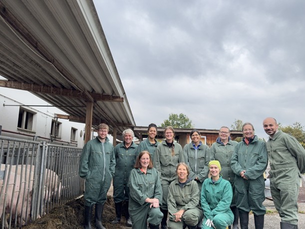 Exploring pig housing alternatives in Austria