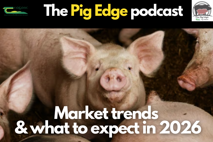Pig Edge Podcast: Market trends and what to expect in 2026