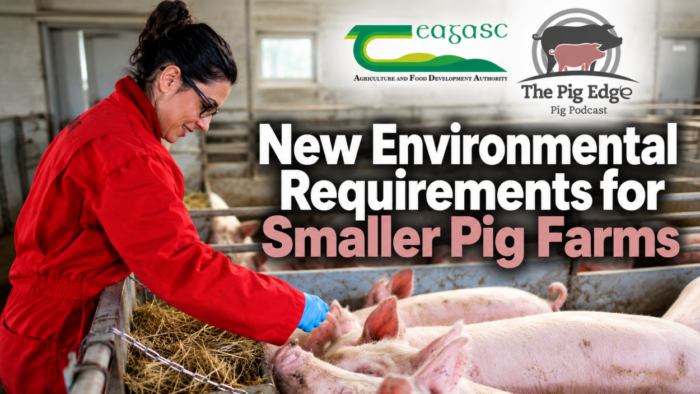 New environmental rules shape future pig farming