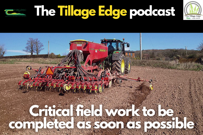 Critical field work to be completed as soon as possible