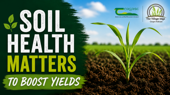 Soil health matters to boost yields