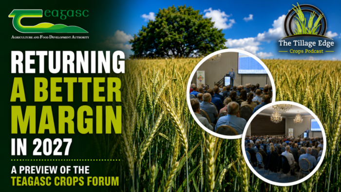 Cover image for Returning a better margin in 2027 – a preview of the Teagasc Crops Forum article