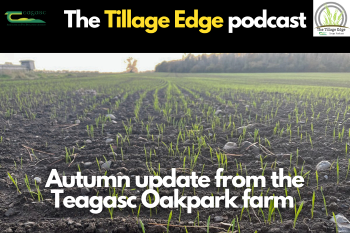 Autumn update from the Teagasc Oak Park farm