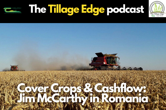 Cover crops and cashflow – Jim McCarthy on farming in Romania