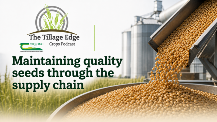 Cover image for Maintaining quality seeds through the supply chain article