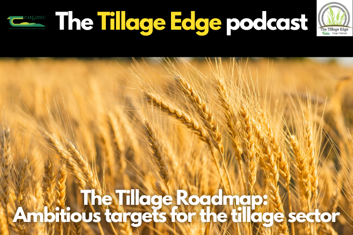 The Tillage Roadmap: Ambitious targets for the tillage sector