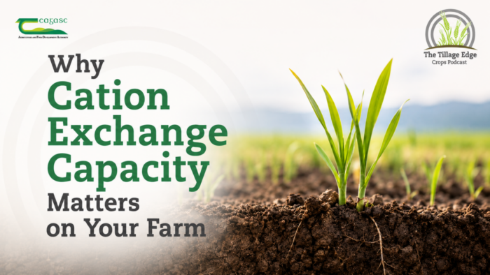 Cover image for Why cation exchange capacity matters on your farm article