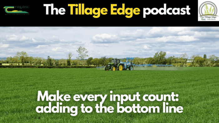 Make every input count: adding to the bottom line