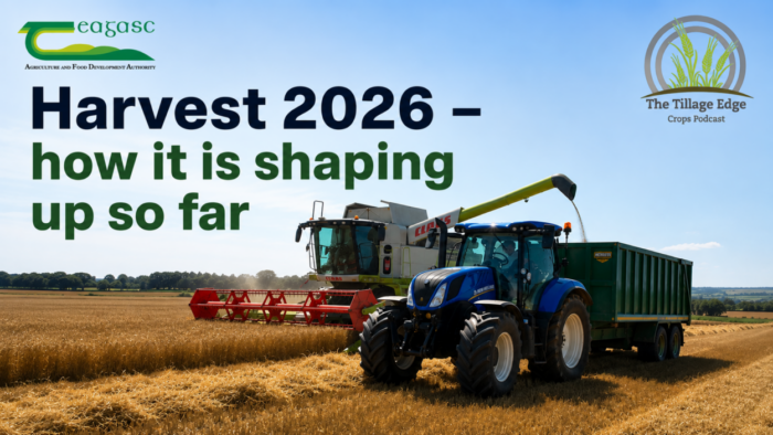 Harvest 2026 – how it is shaping up so far