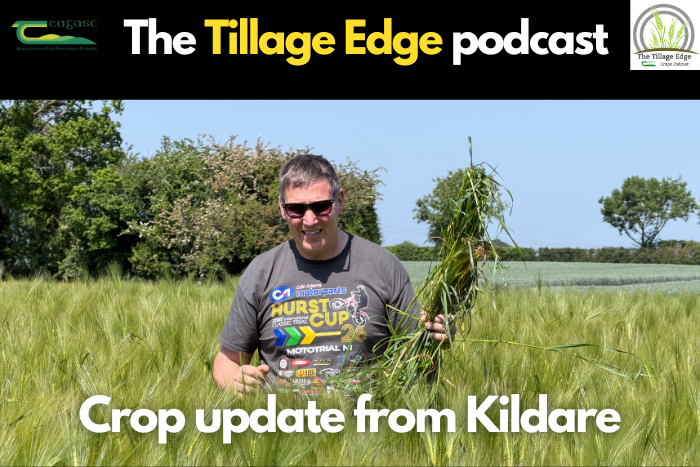 Crop update from Kildare