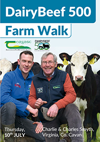 DairyBeef 500 Farm Walk – Charlie and Charles Smyth