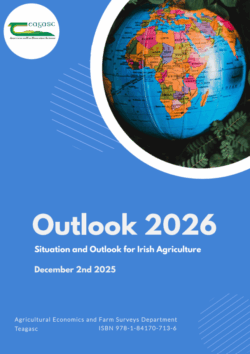 Outlook 2026