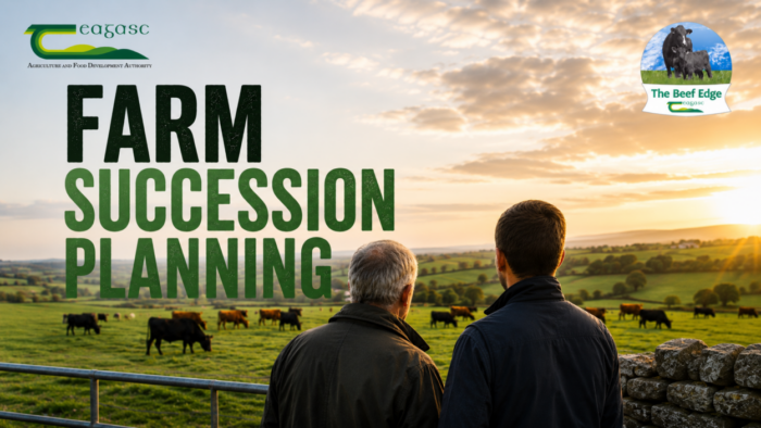 Cover image for The importance of farm succession planning article