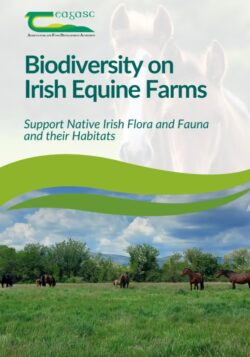Biodiversity on Irish Equine Farms